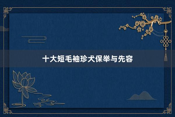 十大短毛袖珍犬保举与先容