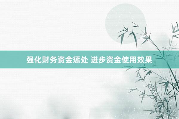 强化财务资金惩处 进步资金使用效果